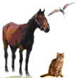 Animals